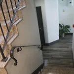 게스트하우스 Residencial Kuarenta&um 3*